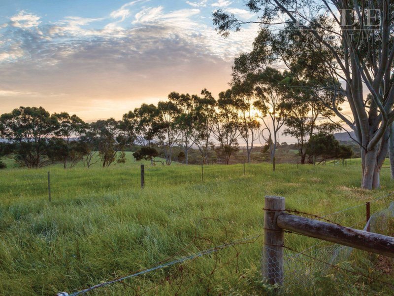 250 Old Moorooduc Road, Tuerong Sold by Abode Peninsula - image 23