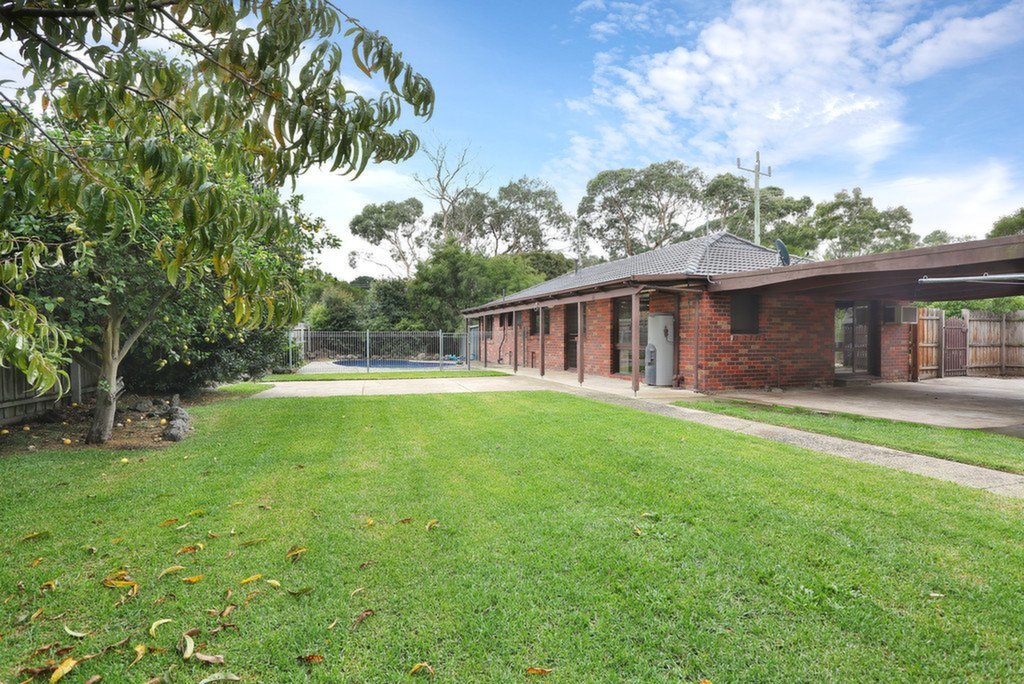 41 Lyall Street, Hastings Sold by Abode Peninsula - image 7