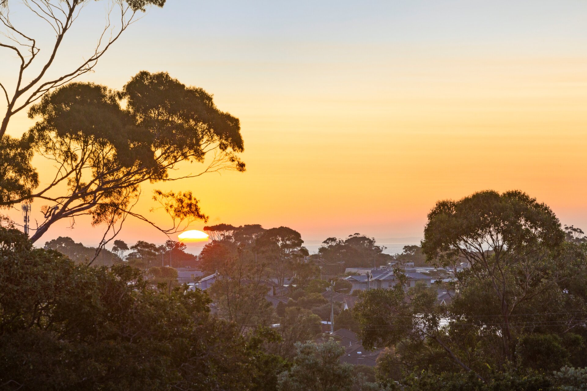 2/32 Shandon Street, Mornington Sold by Abode Peninsula - image 1