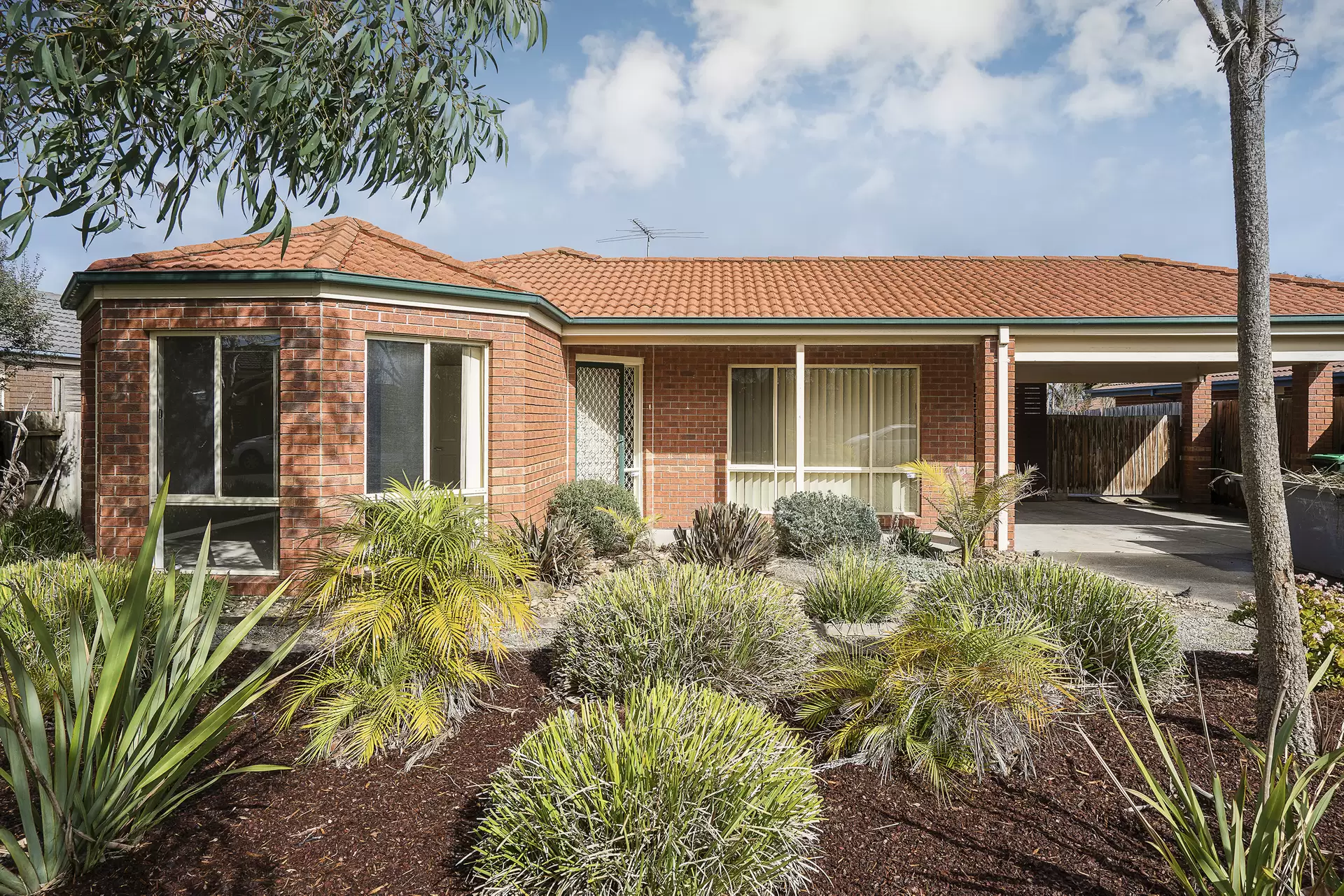 10 Allchin Avenue, Mornington Leased by Abode Peninsula - image 1