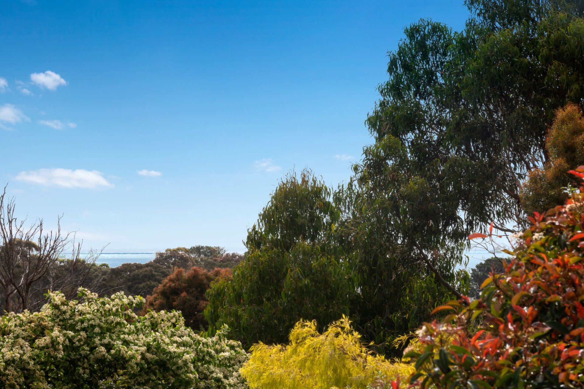 26 Coryule Road, Mount Martha Sold by Abode Peninsula - image 1