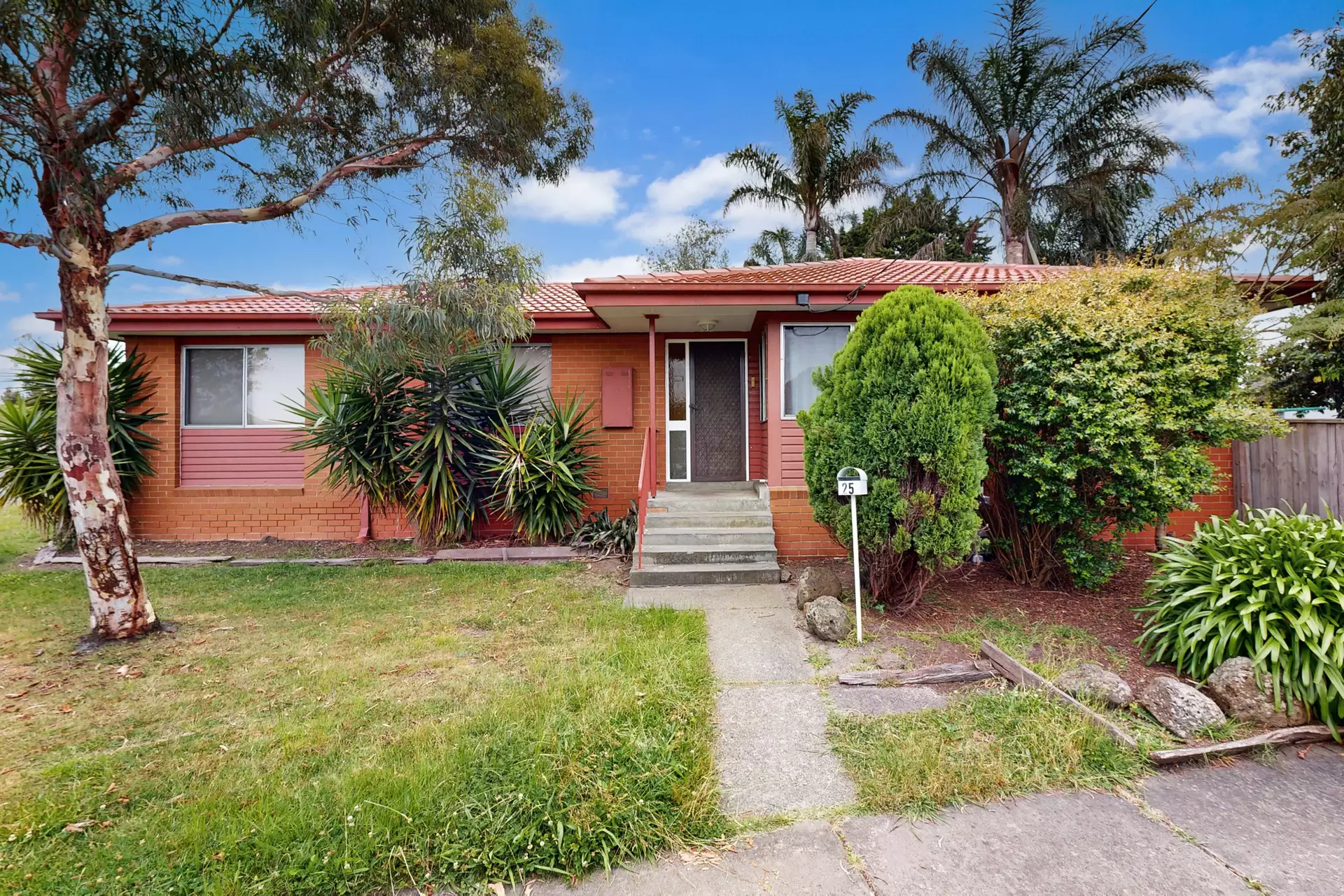 25 Curacoa Drive, Hastings Leased by Abode Peninsula - image 1