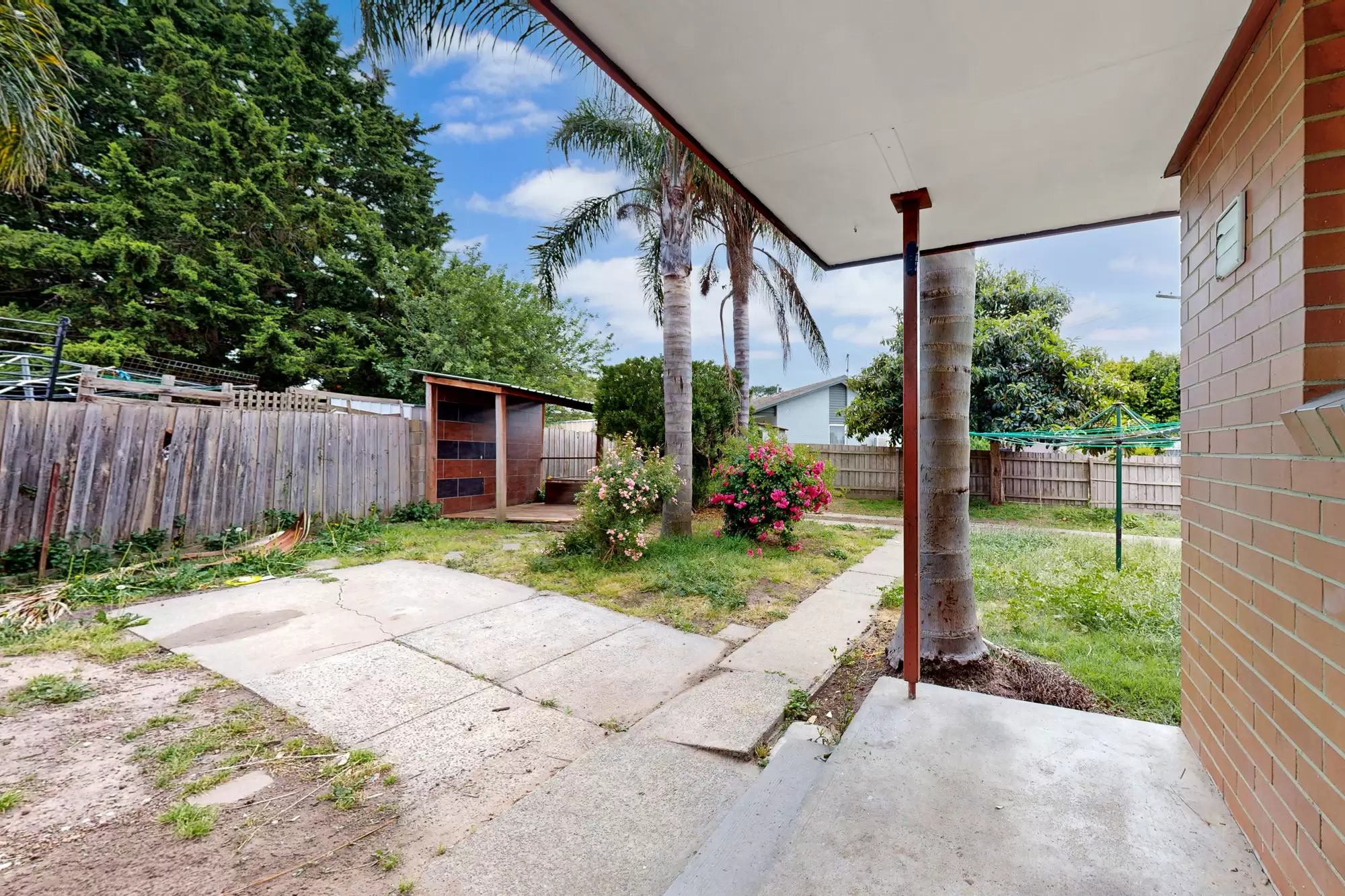 25 Curacoa Drive, Hastings Leased by Abode Peninsula - image 14