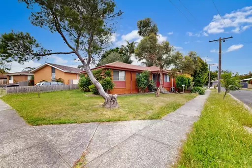 25 Curacoa Drive, Hastings Leased by Abode Peninsula